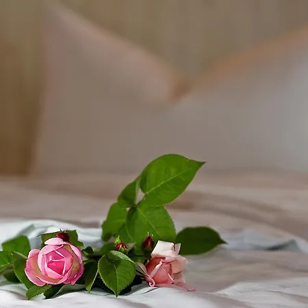 Airport Karsten Cologne