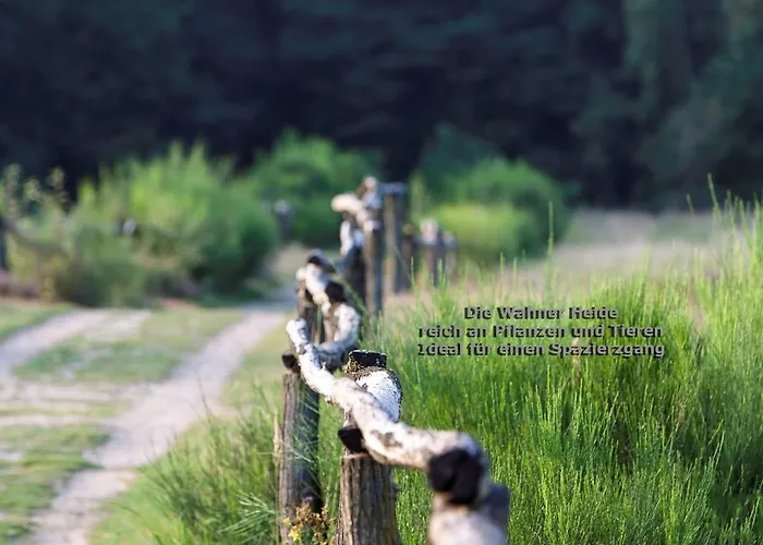 Airport Karsten 3* Kolín nad Rýnem