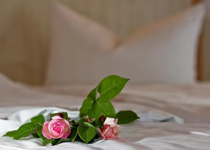 Airport Karsten Kolonia